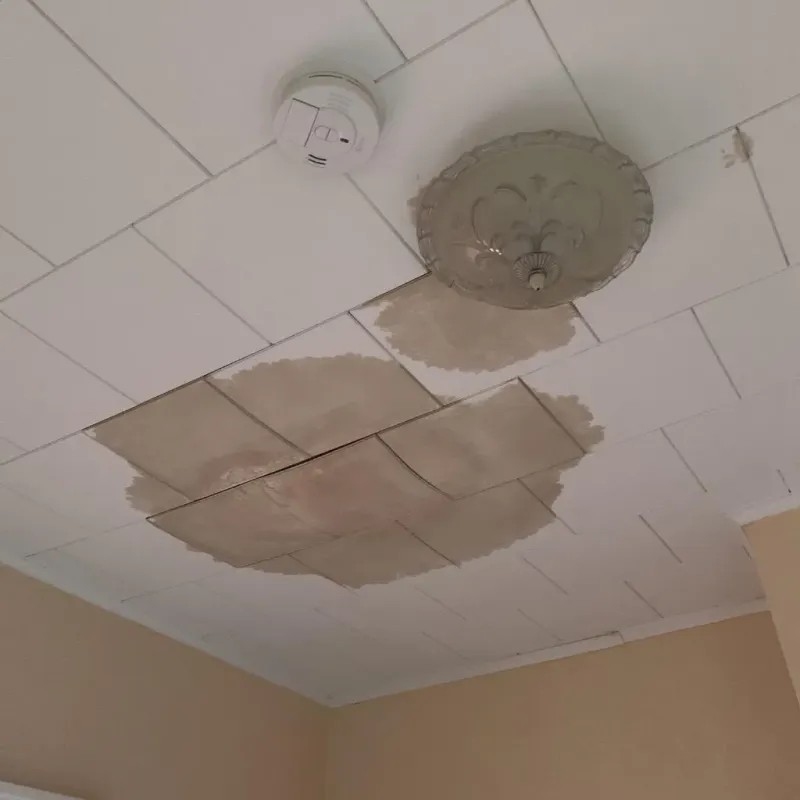 Ceiling Water Damage Repair in Rock Creek, MN