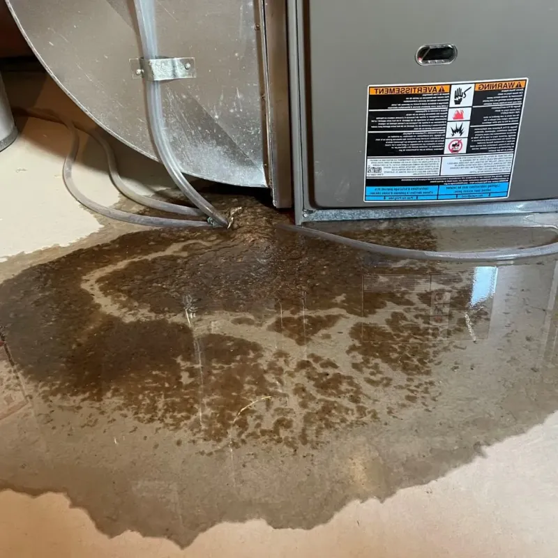 Pipe Burst and Leak Restoration in Rock Creek, MN